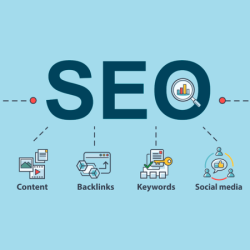 Search Engine Optimization Survival Of The Fittest