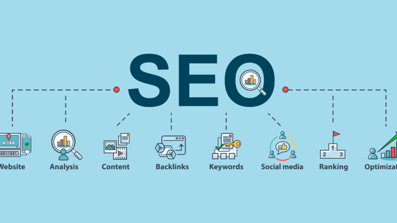 Search Engine Optimization Survival Of The Fittest